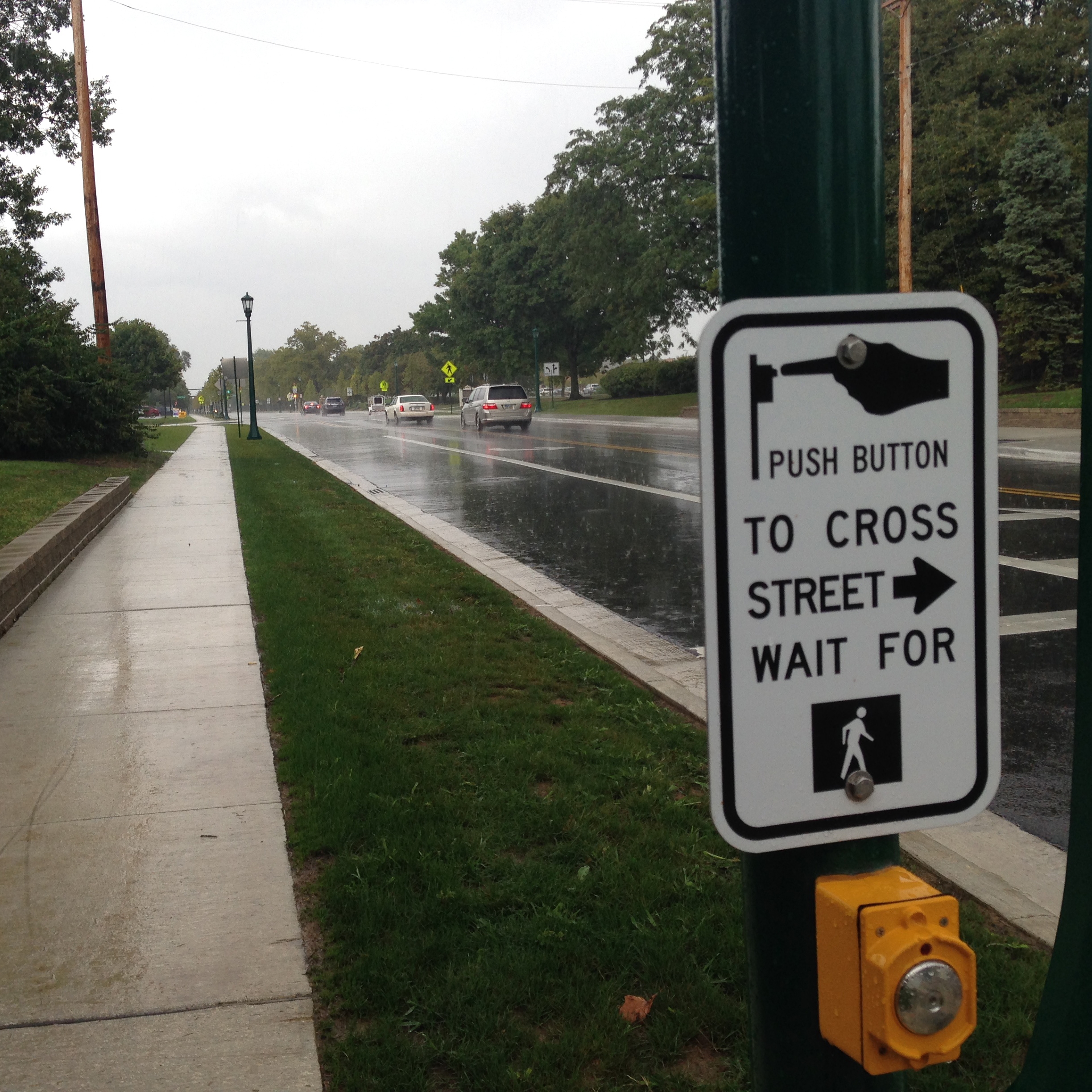 Question 30 Driving In Rain